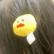 ヒメ日記 2026/03/04 17:29 投稿 しの G-STAGE