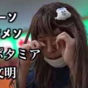 ヒメ日記 2026/06/03 19:09 投稿 しの G-STAGE