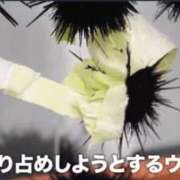 ヒメ日記 2026/09/07 21:29 投稿 しの G-STAGE