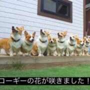 ヒメ日記 2026/09/08 17:39 投稿 しの G-STAGE