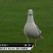ヒメ日記 2026/09/08 19:30 投稿 しの G-STAGE