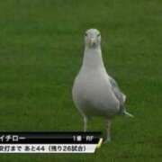 ヒメ日記 2026/09/11 18:49 投稿 しの G-STAGE