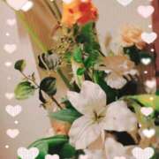 ヒメ日記 2025/10/15 04:48 投稿 おうか 福島♂風俗の神様 郡山店