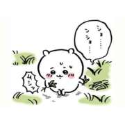 ヒメ日記 2026/09/14 12:08 投稿 入海 倶楽部月兎【逆夜這い】東京店