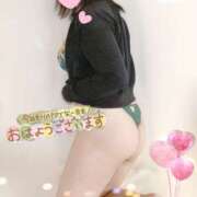 ヒメ日記 2025/02/20 06:59 投稿 ふみ One More 奥様　松戸店