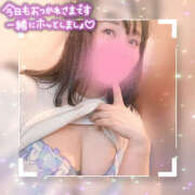 ヒメ日記 2025/05/24 07:59 投稿 ふみ One More 奥様　松戸店