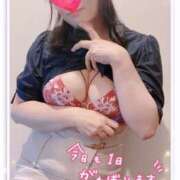 ヒメ日記 2025/06/29 07:19 投稿 ふみ One More 奥様　松戸店