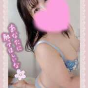 ヒメ日記 2025/09/13 14:39 投稿 ふみ One More 奥様　松戸店