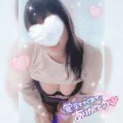 ヒメ日記 2025/11/16 12:24 投稿 ふみ One More 奥様　松戸店