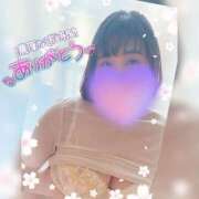 ヒメ日記 2026/02/08 07:54 投稿 ふみ One More 奥様　松戸店