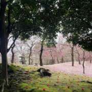 ヒメ日記 2026/03/11 19:27 投稿 りさ いざ候 本館