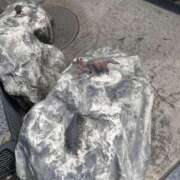 三橋すずめ ※無題 色気あるワイフ