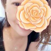 ヒメ日記 2024/12/15 16:22 投稿 三橋すずめ ワイフコレクション