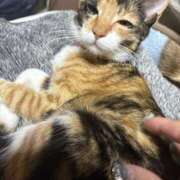 ヒメ日記 2025/01/09 22:29 投稿 らむ【AF可能なドМド変態娘】 セクシャル