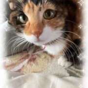 ヒメ日記 2026/01/20 16:59 投稿 らむ【AF可能なドМド変態娘】 セクシャル