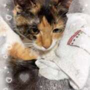 ヒメ日記 2026/02/17 13:49 投稿 らむ【AF可能なドМド変態娘】 セクシャル