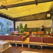 ヒメ日記 2025/02/01 12:35 投稿 宮坂きみこ テレジア京都