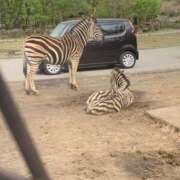 ヒメ日記 2024/12/22 16:22 投稿 ねね マリン千葉店