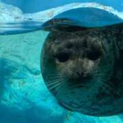 ヒメ日記 2025/02/06 21:22 投稿 ねね マリン千葉店