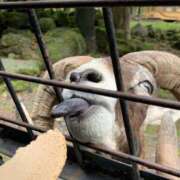 ヒメ日記 2025/02/11 19:52 投稿 ねね マリン千葉店