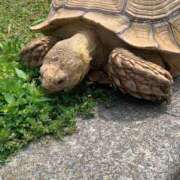 ヒメ日記 2025/05/16 21:33 投稿 ねね マリン千葉店