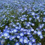 ヒメ日記 2025/06/19 08:22 投稿 ねね マリン千葉店