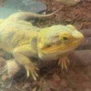 ヒメ日記 2025/06/24 16:52 投稿 ねね マリン千葉店