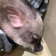 ヒメ日記 2025/07/16 08:42 投稿 ねね マリン千葉店