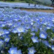 ヒメ日記 2025/09/11 01:02 投稿 ねね マリン千葉店