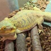 ヒメ日記 2025/10/12 02:22 投稿 ねね マリン千葉店