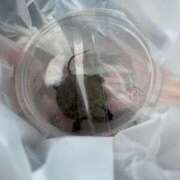 ヒメ日記 2025/11/02 16:42 投稿 ねね マリン千葉店