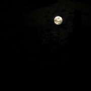 ヒメ日記 2025/11/08 03:15 投稿 らん アラビアンナイト