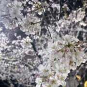 ヒメ日記 2025/03/27 01:54 投稿 みれい 濃厚即19妻