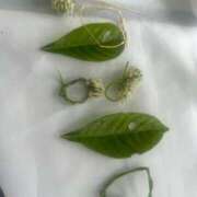 ヒメ日記 2025/06/27 23:58 投稿 りりは 熟女家 堺東店