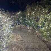 ヒメ日記 2026/01/22 08:40 投稿 るり 熟女の風俗最終章 高崎店