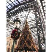 ヒメ日記 2024/12/25 14:00 投稿 逢沢　ゆず プルプル京都性感エステ　はんなり