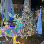 ヒメ日記 2025/11/19 23:59 投稿 逢沢　ゆず プルプル京都性感エステ　はんなり