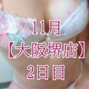 ヒメ日記 2025/11/14 12:16 投稿 華咲あみか ニューハーフヘルスLIBE大阪梅田店