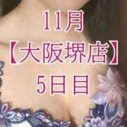 ヒメ日記 2025/11/17 12:06 投稿 華咲あみか ニューハーフヘルスLIBE大阪梅田店