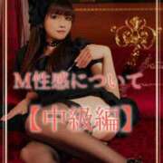 ヒメ日記 2025/11/20 08:06 投稿 華咲あみか ニューハーフヘルスLIBE大阪梅田店