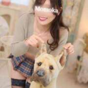 Momoka ?3月 CELEB（セレブ）