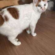 ヒメ日記 2025/02/22 21:54 投稿 つばさ One More奥様 大宮店