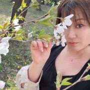 ヒメ日記 2025/04/11 08:20 投稿 つばさ One More奥様 大宮店