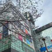 ヒメ日記 2026/03/24 08:20 投稿 つばさ One More奥様 大宮店