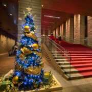 ヒメ日記 2024/12/17 02:38 投稿 ゆりえ 奥様の実話 谷九店