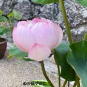 ヒメ日記 2025/08/29 00:35 投稿 ゆりえ 奥様の実話 谷九店