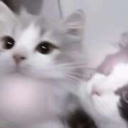 ヒメ日記 2026/02/23 05:49 投稿 星野さくら 池袋パラダイス