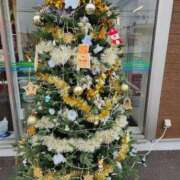 ヒメ日記 2024/12/24 08:02 投稿 戸川千春 五十路マダム 岐阜店