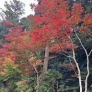 ヒメ日記 2025/11/27 09:42 投稿 みさ 熟女の風俗最終章 本厚木店