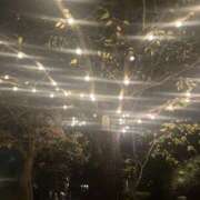 ヒメ日記 2025/12/25 09:30 投稿 みさ 熟女の風俗最終章 本厚木店